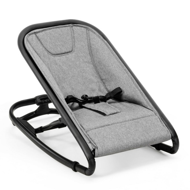 2-in-1 Ergonomic Baby Rocker with 2 Adjustable Recline Positions