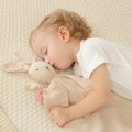 Newborn Baby Soothe Appease Towel Bunny Children Bibs Sleeping Dolls Soft Towel Baby Facecloth Bath Towel Kids Fashion Sleep Toy